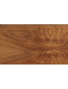 AMBASSADOR 7 con gettoniera Dettagli di eleganza su un tavolo professionale 2